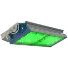  Светодиодный светильник  TL-PROM 100 PR Plus FL (Д) Green